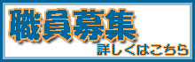 職員募集情報はこちらから